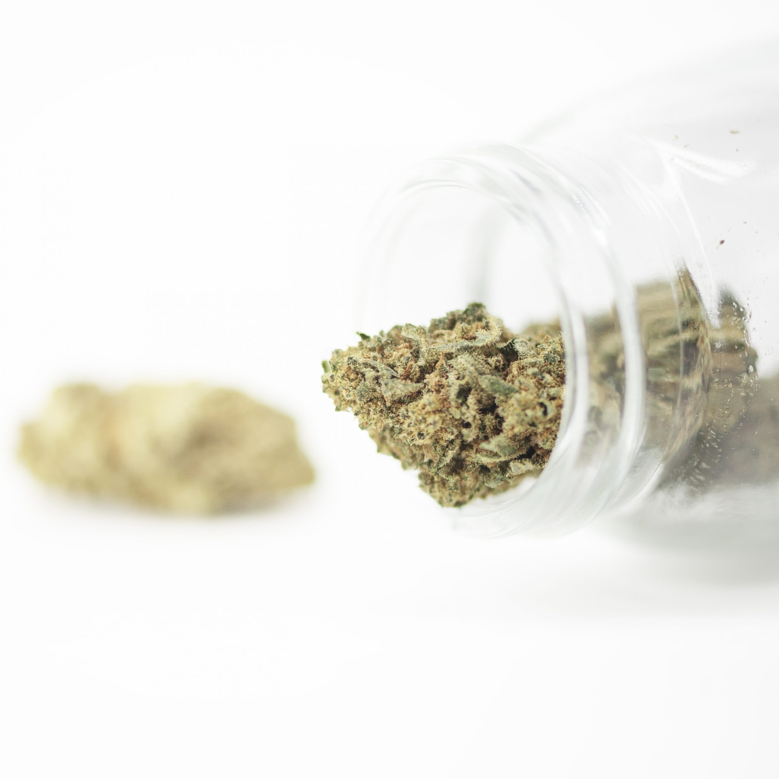 Pure Extract CBD - BZ1