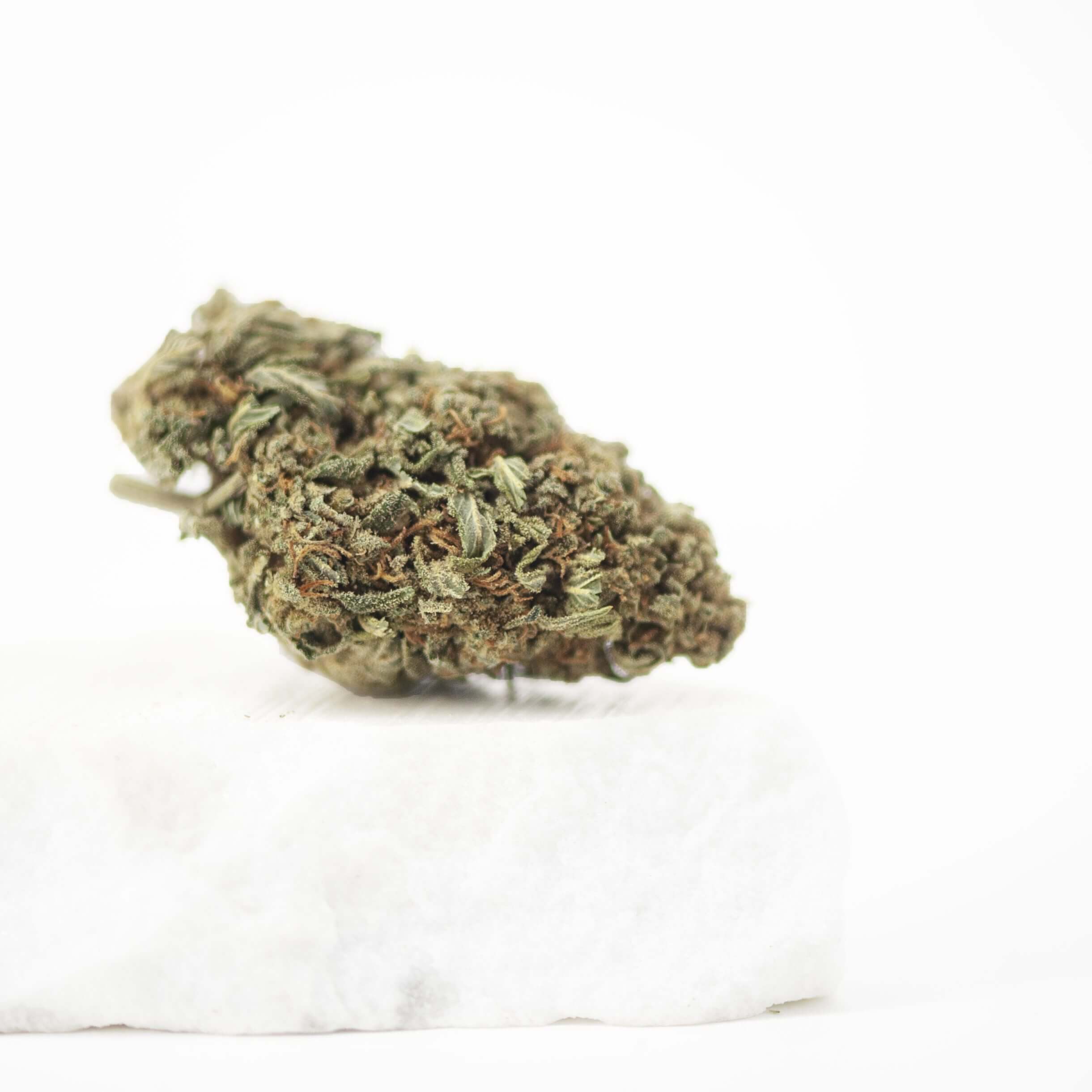 cbd flowerBubble Gum 3