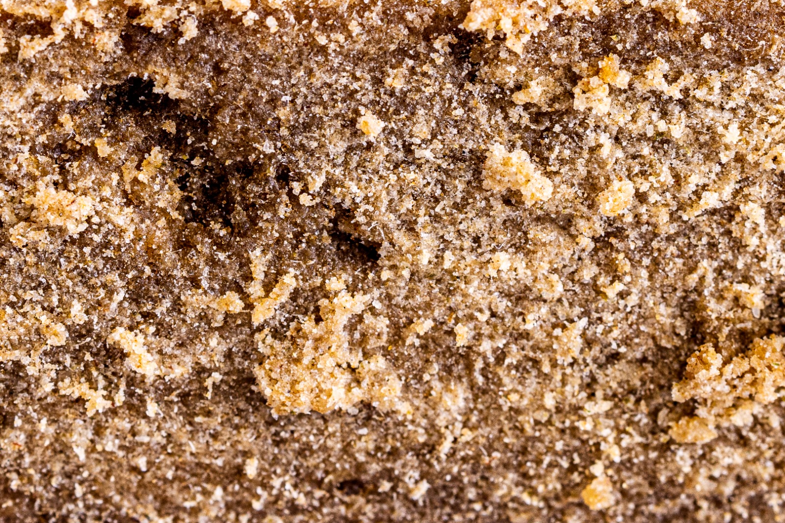 résine de cbd bulbe hash