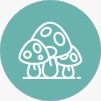 Mushrooms