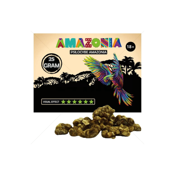 Psilocybe Amazonia Trüffel