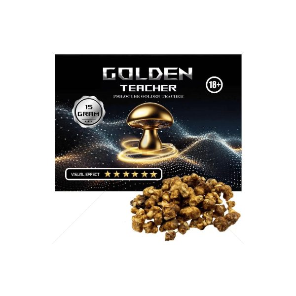 Psilocybe Golden Teacher Trufas Champi alucinógeno