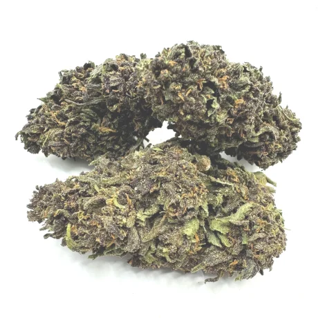 CBD Púrpura Legendario
