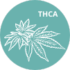 THCA