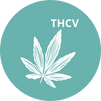 THCV