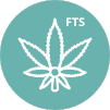 FTS