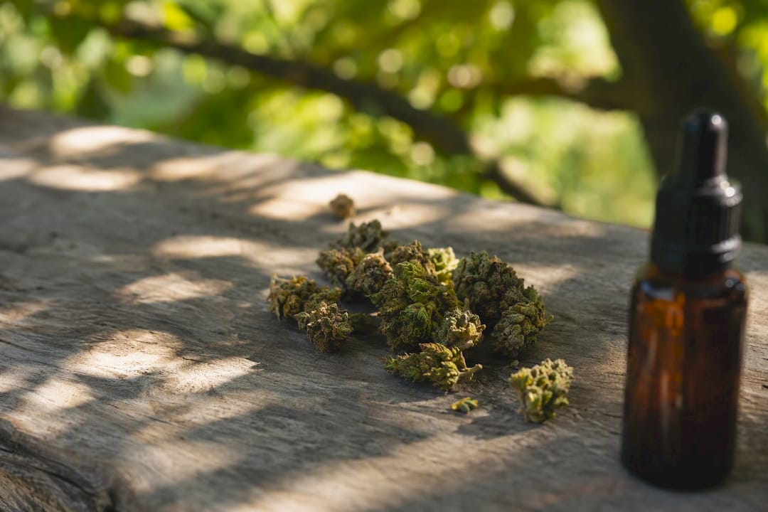 CBD et test salivaire : quand la consommation devient-elle un risque ? - Pure Extract CBD Fleurs de chanvre séchées sur une surface en bois, bord d'une bouteille ambrée visible