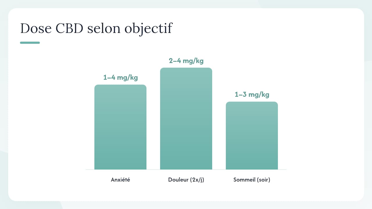 CBD chien dosage : combien de mg par kg et par jour donner ? - Pure Extract CBD Guide des dosages de CBD selon les affections chez le chien