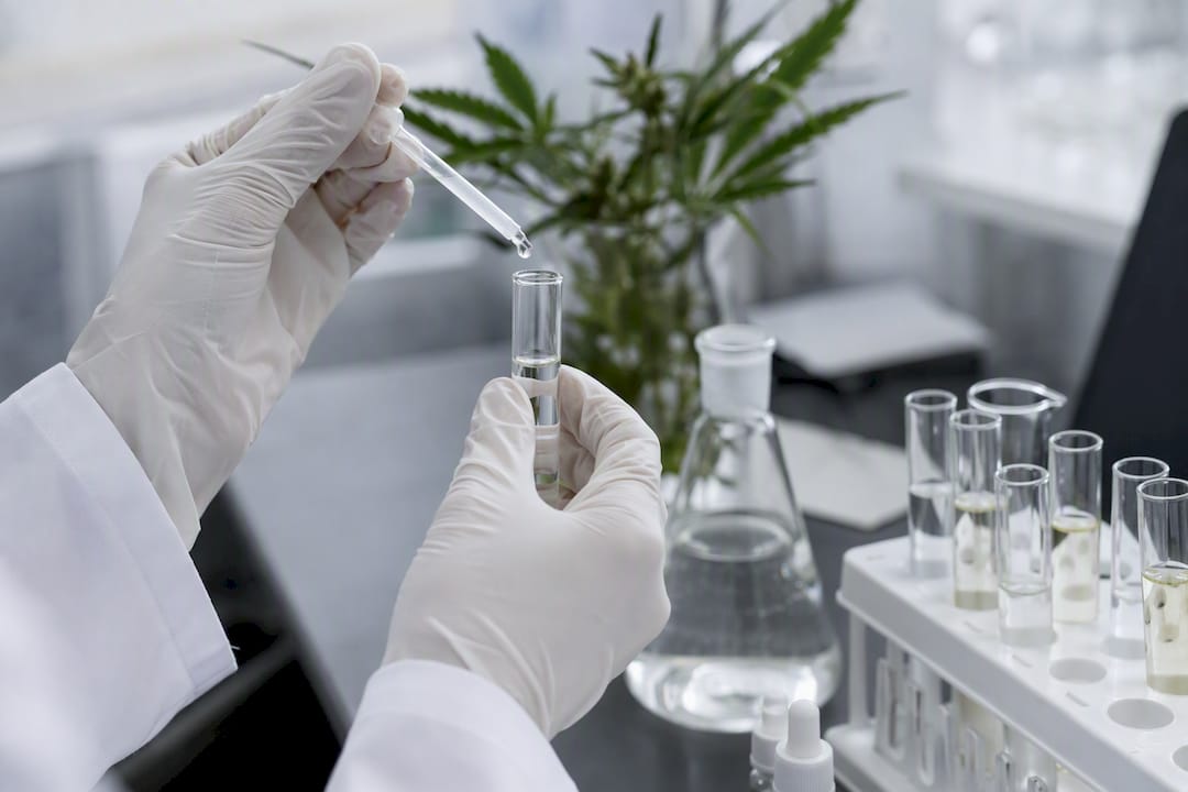 Hände im Labor bei der Analyse von CBD-Proben