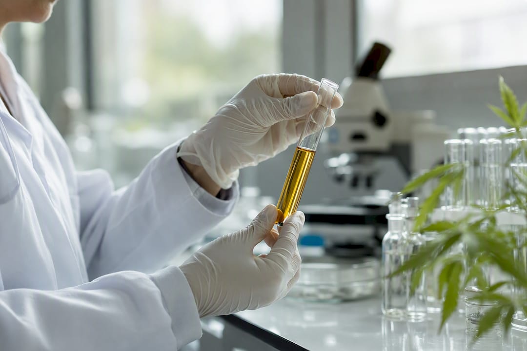 Main gantée tenant un flacon d’huile de CBD en laboratoire