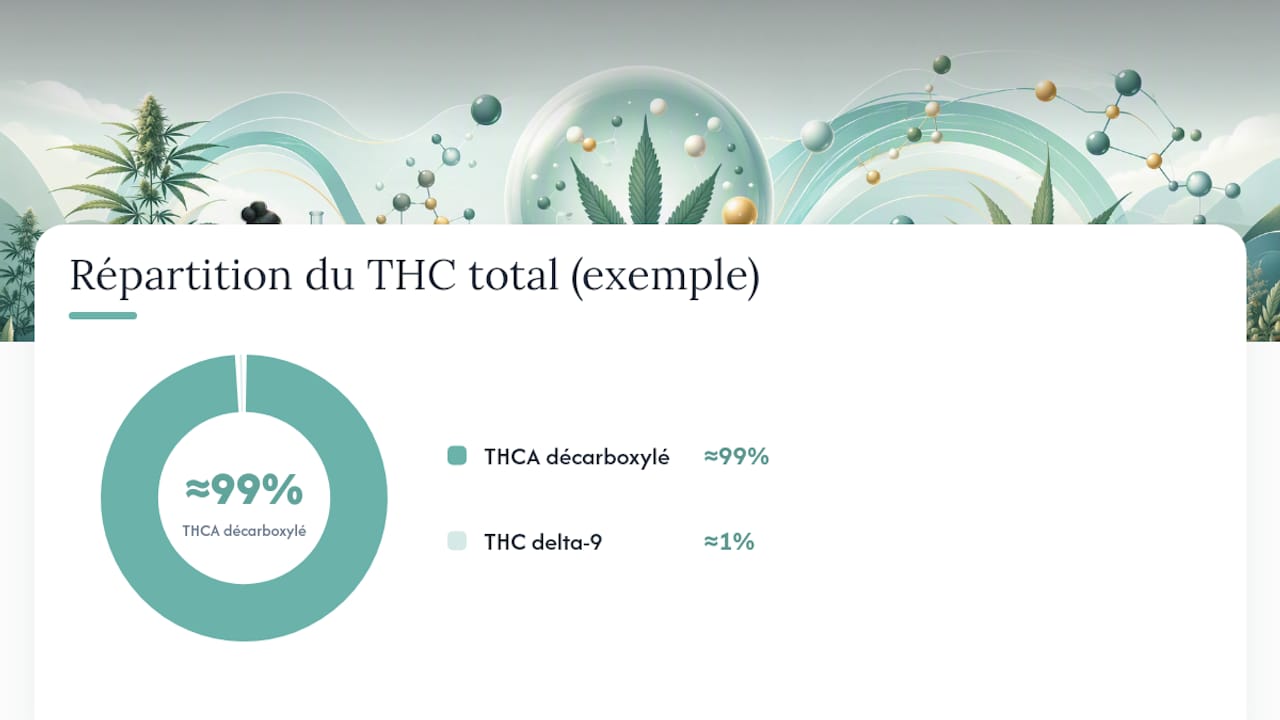 0,30 % de THC total : vérifier le THCA légal en France avec le COA - Pure Extract CBD Comparación entre los métodos de HPLC y GC
