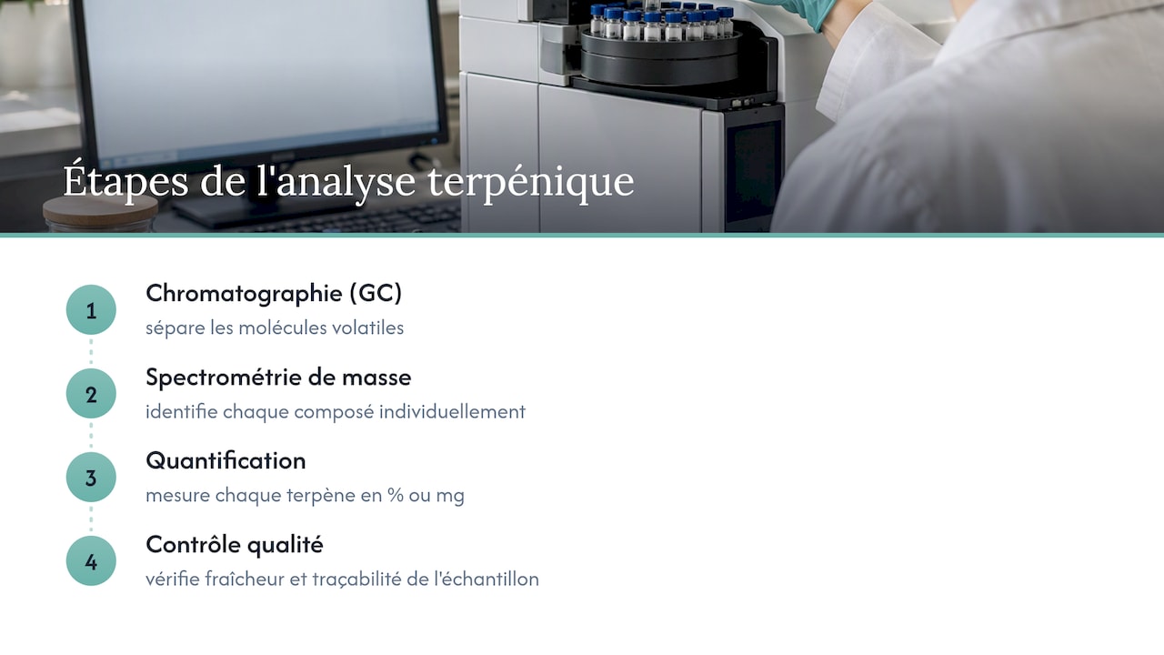 Procédure d'analyse des terpènes en laboratoire